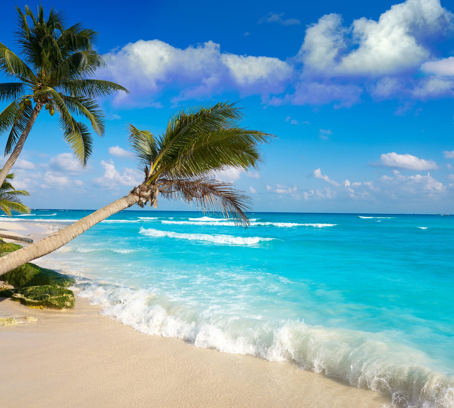 PLAYA DEL CARMEN 2026